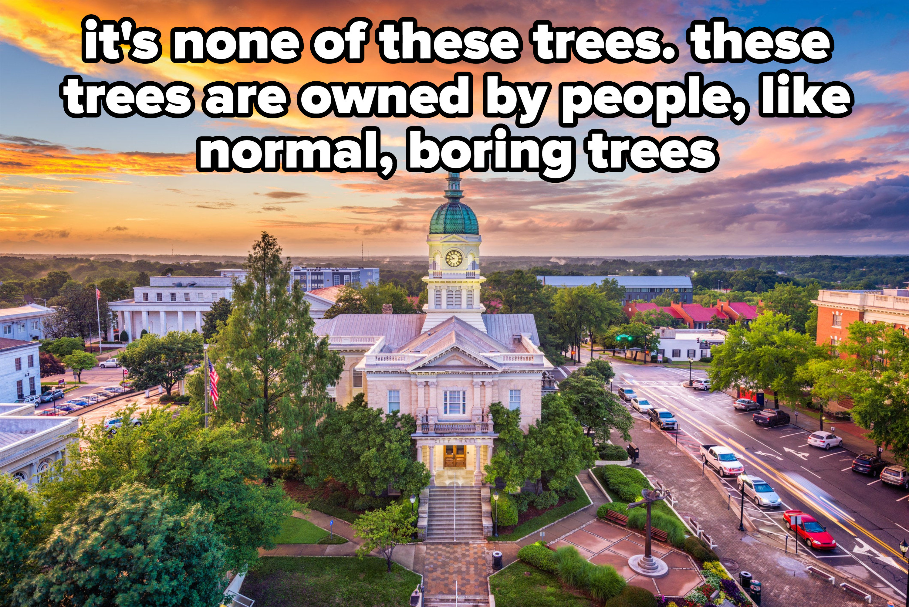 the city hall of Athens, Georgia, surrounded by trees, with caption: it&#x27;s none of these trees. these trees are owned by people, like normal, boring trees