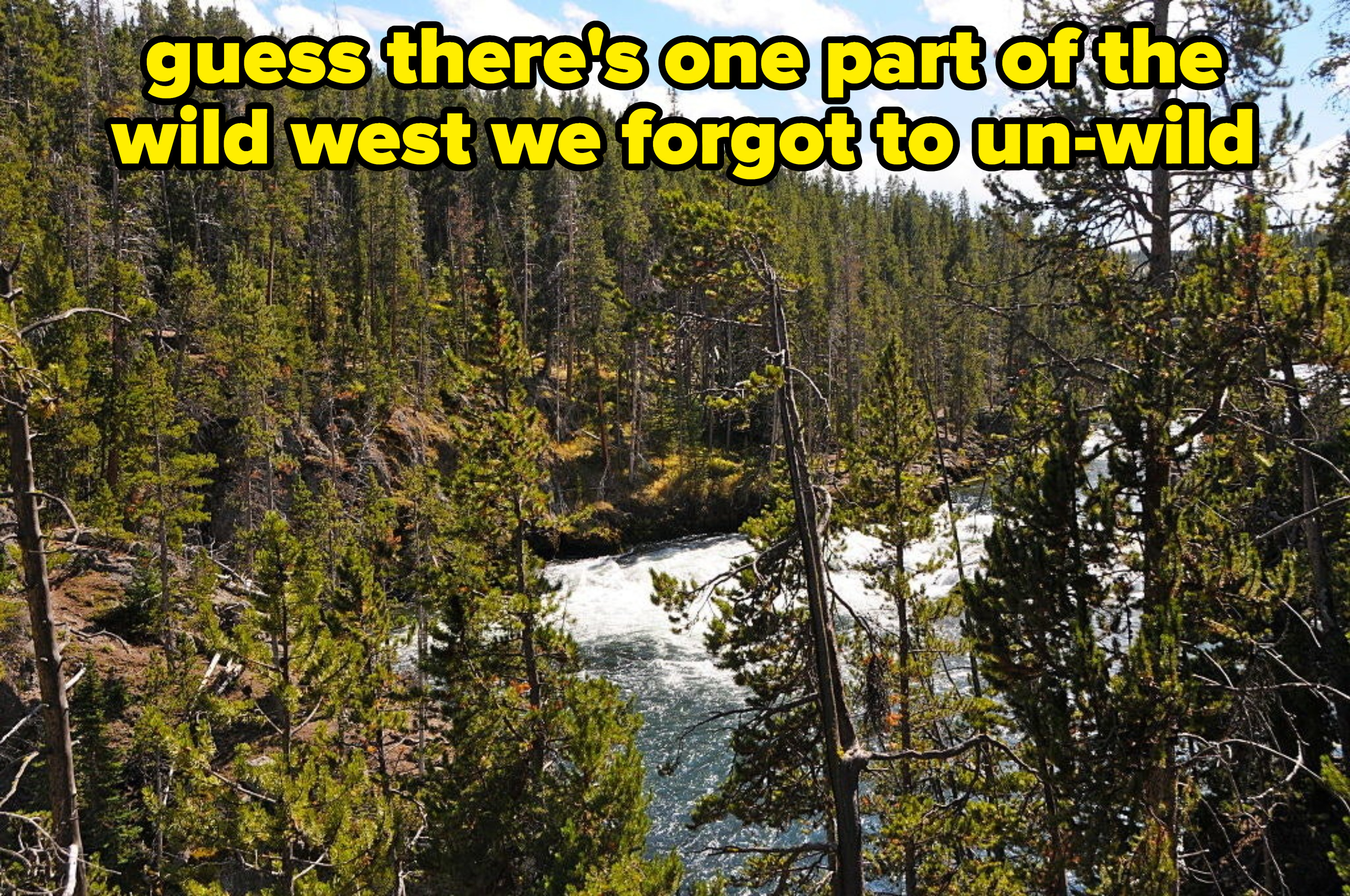 Rivers and forests of Yellowstone with caption: guess there&#x27;s one part of the wild west we forgot to un-wild