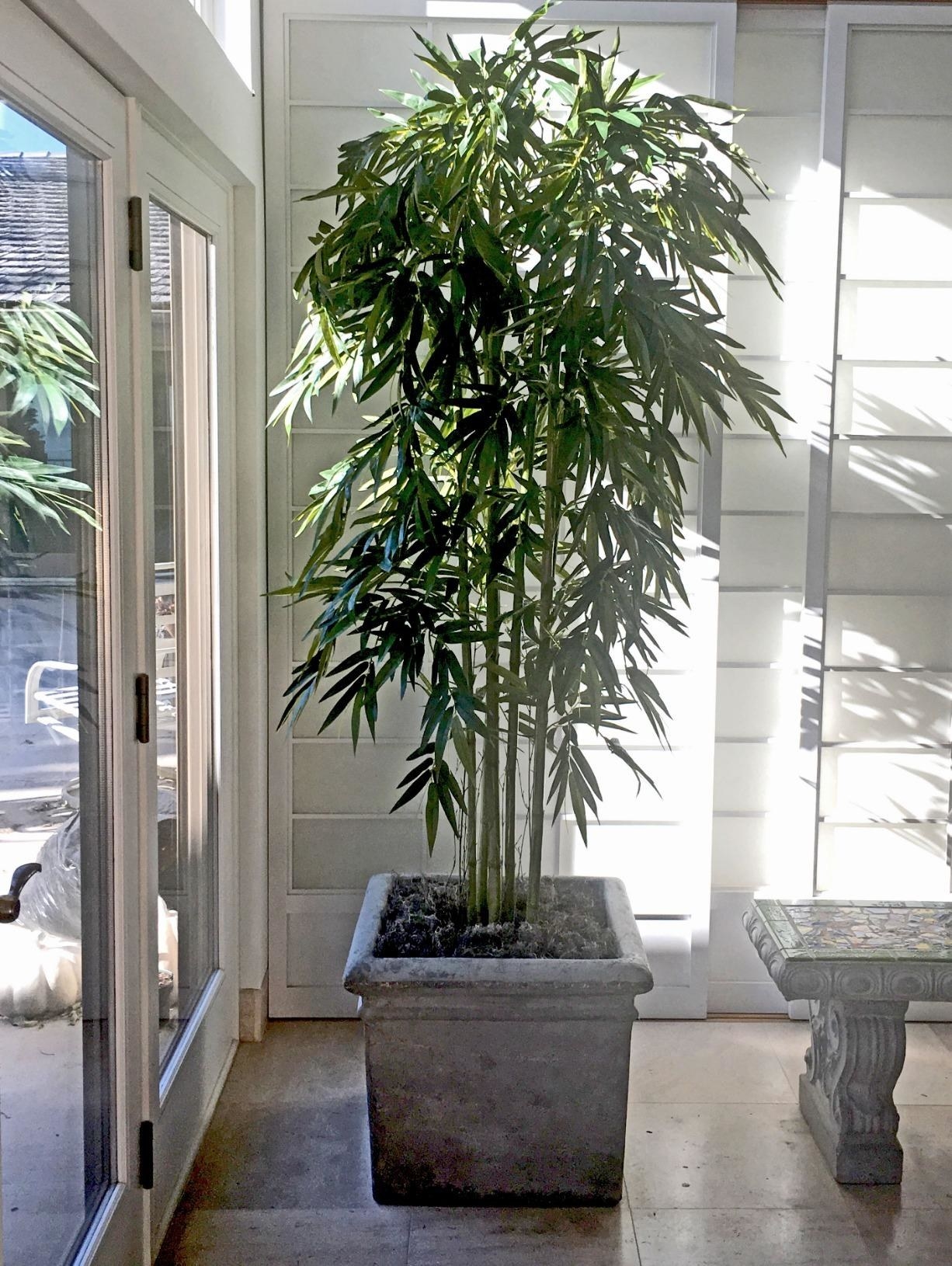 Reviewer&#x27;s photo of the faux bamboo tree in the size 84 inches