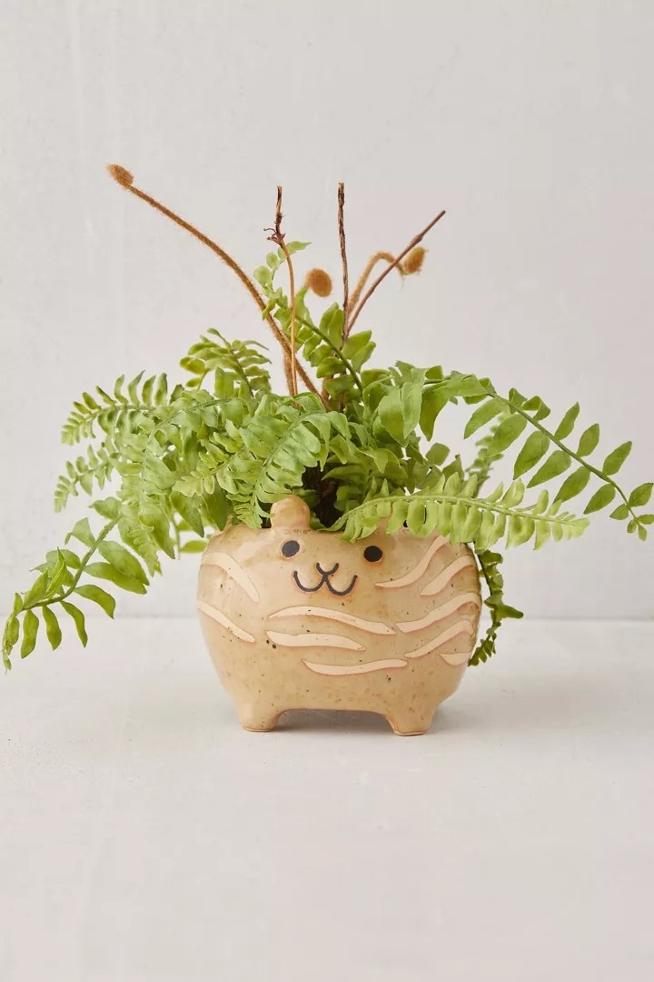 The planter