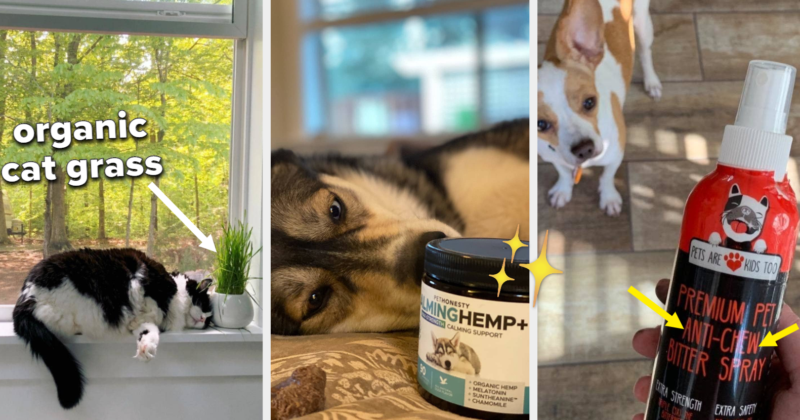 19 Pet Products That ll Help With Their Chewing Problem