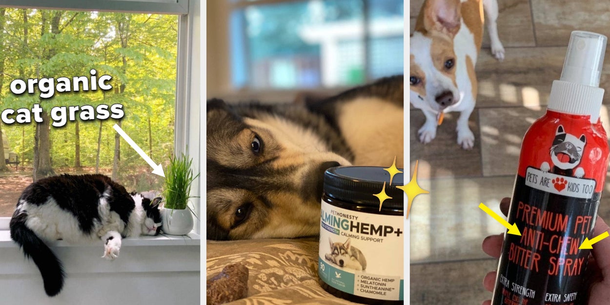 19 Pet Products That’ll Help With That Annoying
“Chew-Everything-In-Sight” Problem