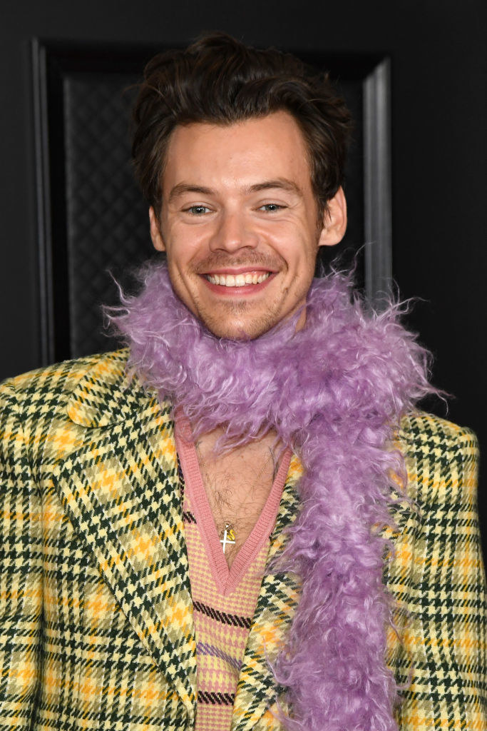Harry smiling at the Grammys wearing a paid blazer, a plaid sweater vest, and a feather boa scarf