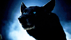 A werewolf with blue eyes on Teen Wolf