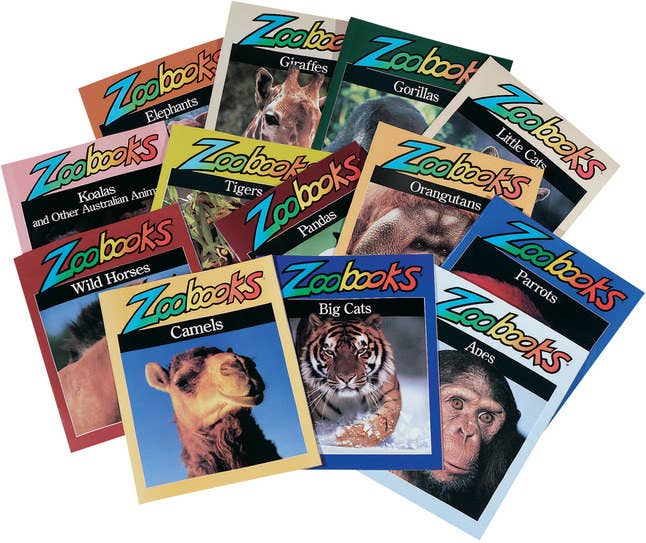 Picture of a pile of Zoobooks magazines