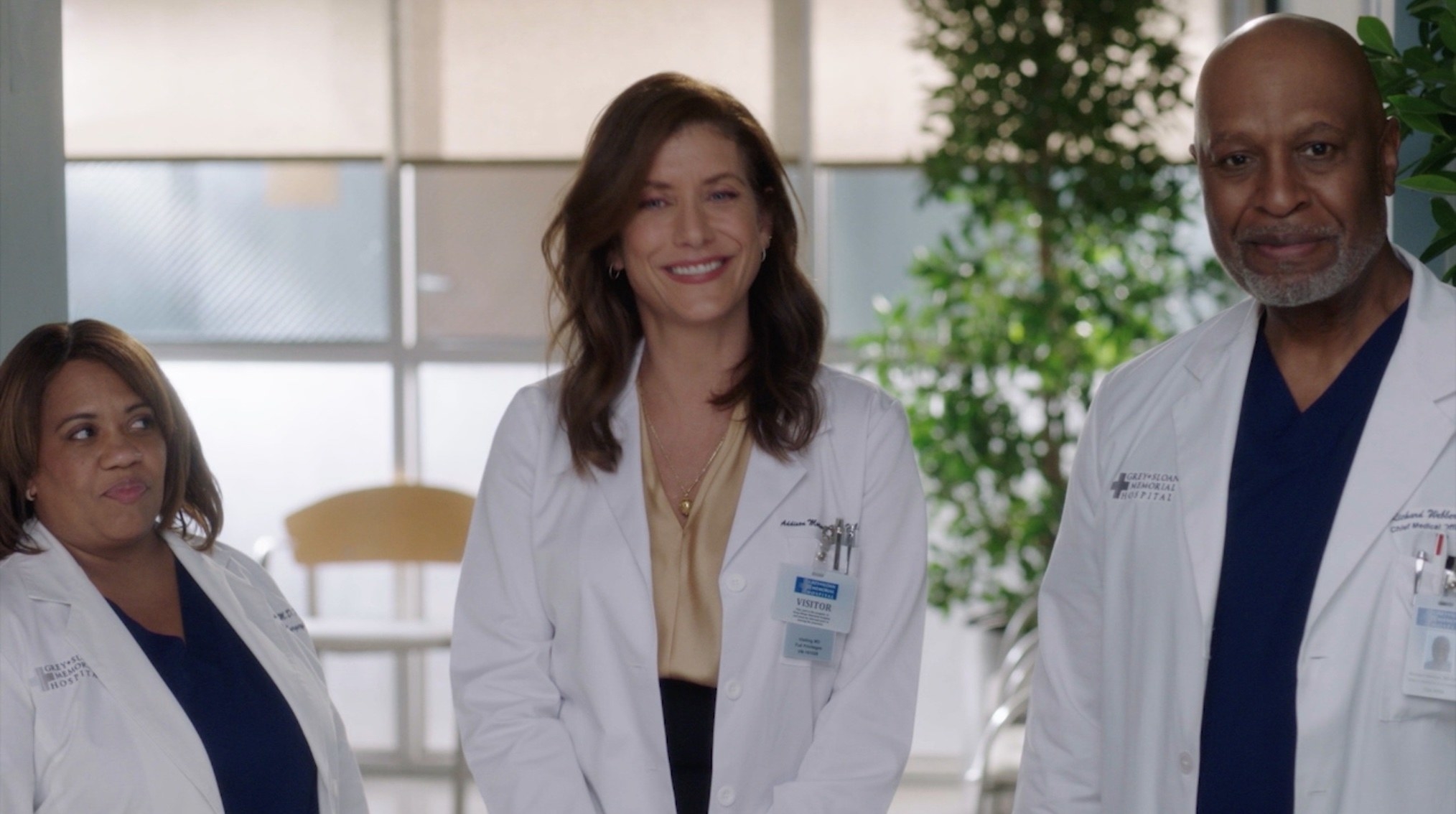 Bailey, Addison, and Richard in a still from Grey&#x27;s Anatomy