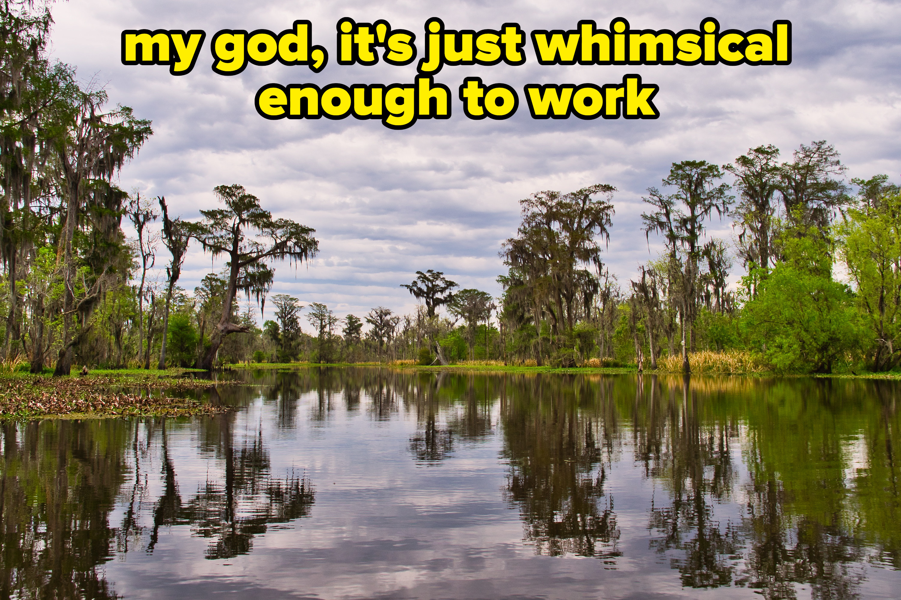 a Louisiana bayou, with caption: my god, it&#x27;s just whimsical enough to work