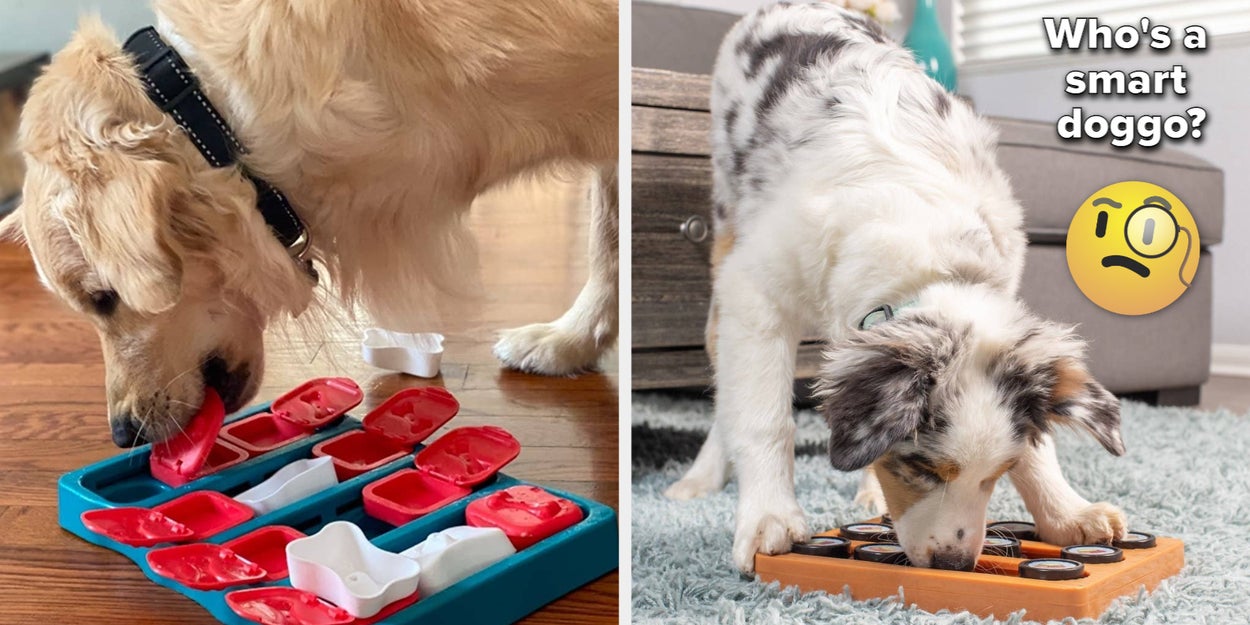 21 Dog Puzzle Toys To Prove Your Dog Is Really The Smartest
In The Whole Entire World