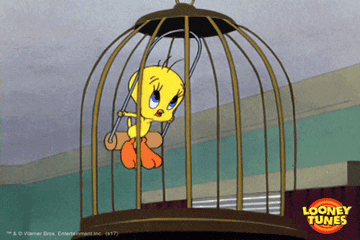 tweety bird in cage