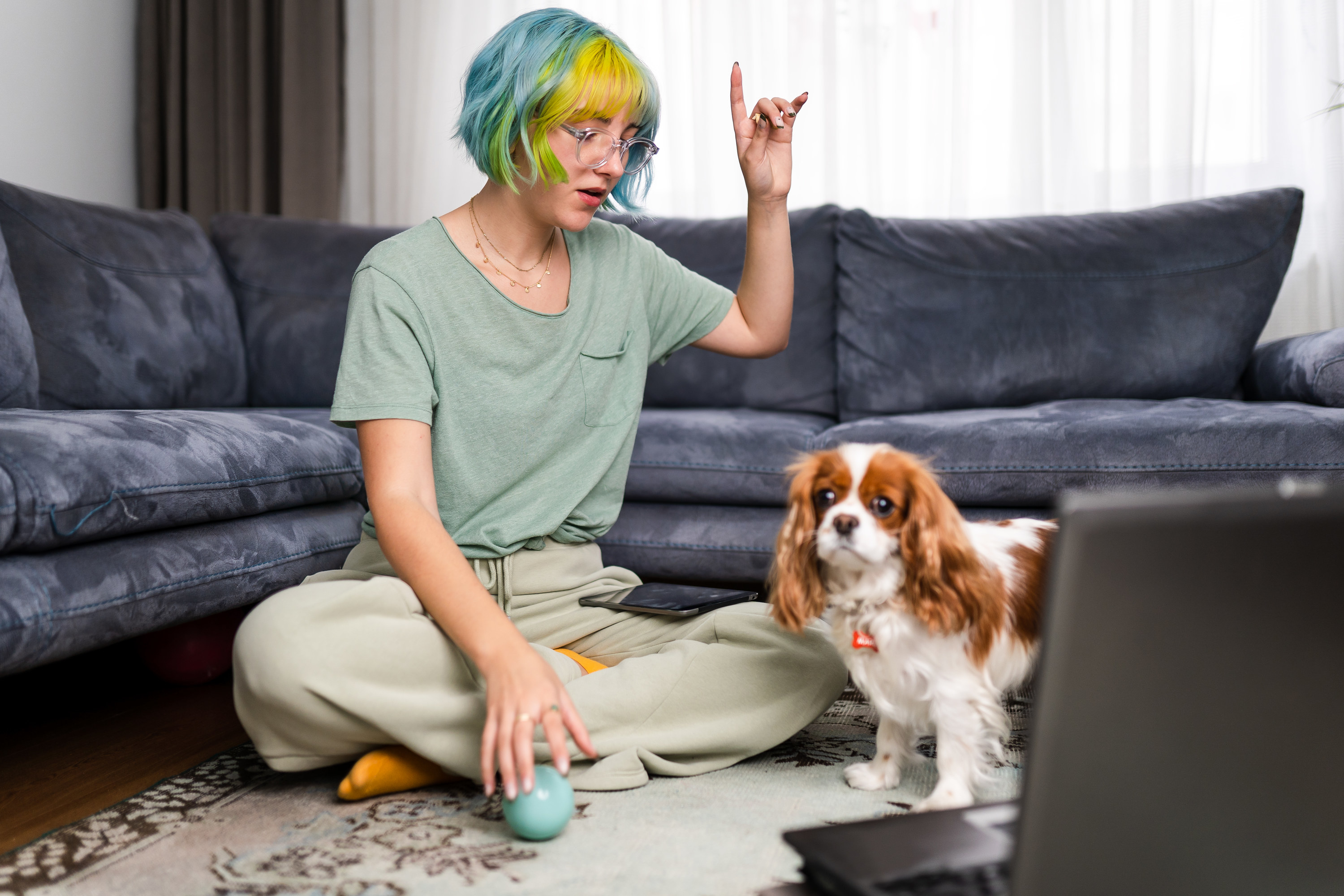 A person with blue and yellow hair uses videos on her computer to help train her small dog