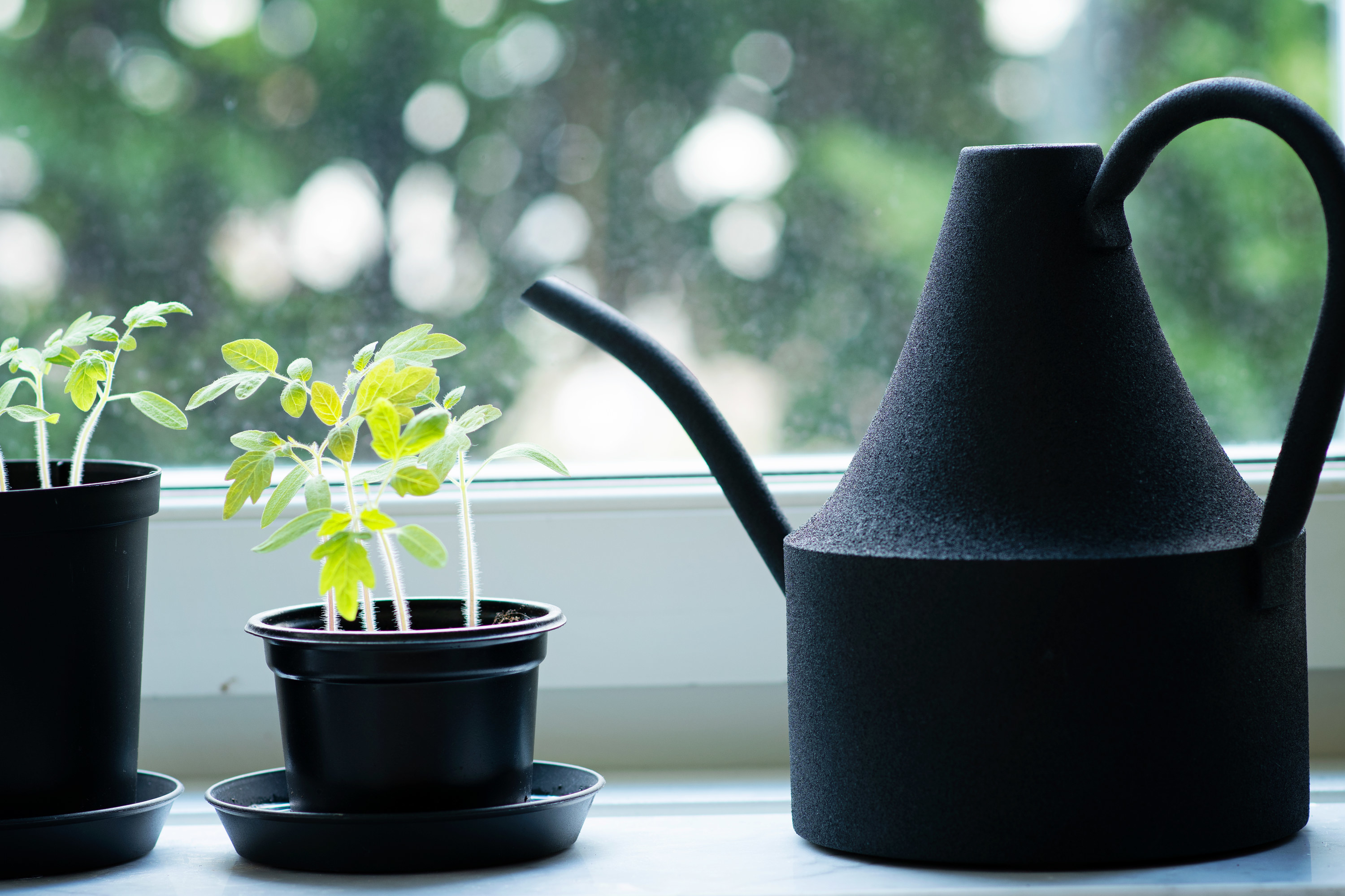 Two small herb plants and a black watering can on a windowsill