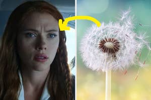A close up of Natasha Romanoff as she looks shocked and a dandelion as it blows in the wind