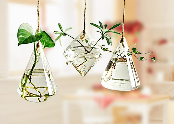 A set of three glass hanging vases with little plants in them
