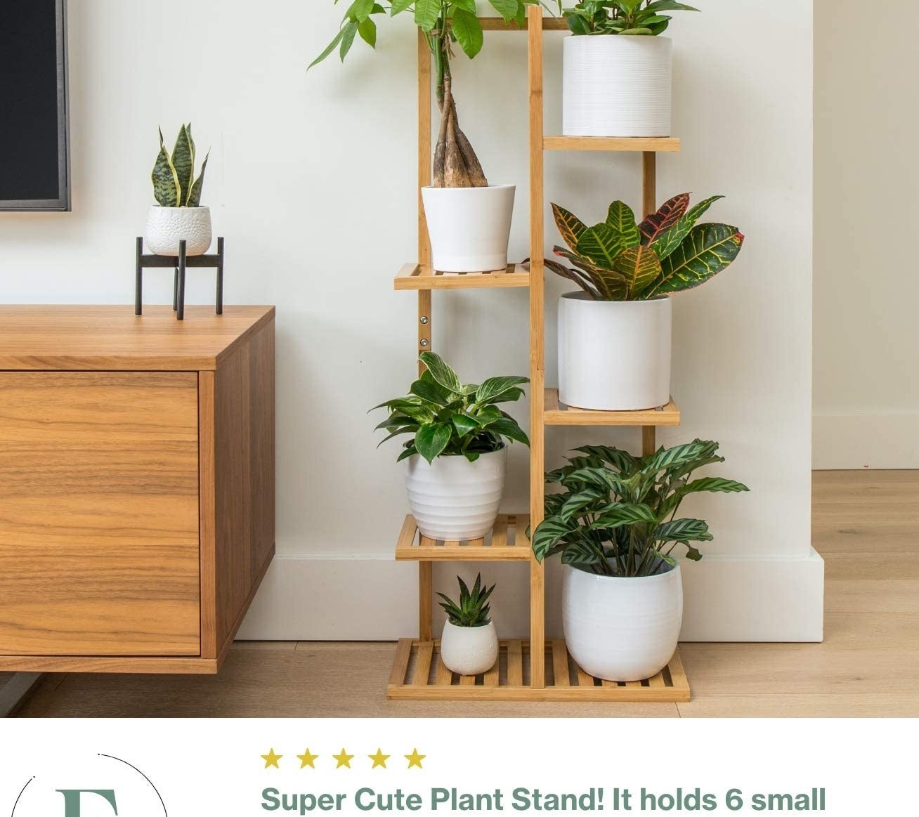 Several plants in pots on the shelf
