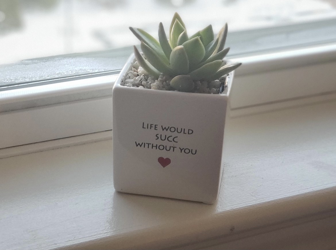 reviewer&#x27;s photo of the succulent plant with the words &quot;life would succ without you on the planter&quot;