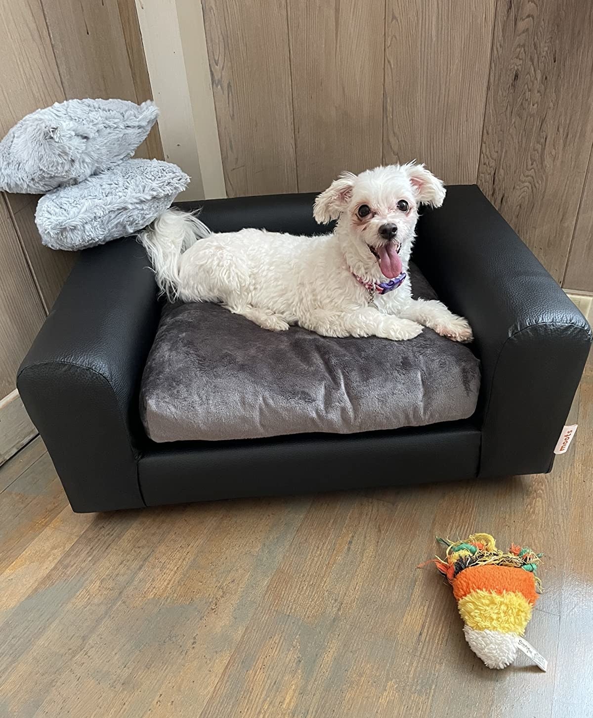 reviewer image of small white dog on black faux leather dog couch