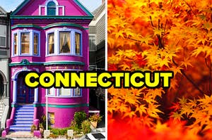 a giant pink and purple house next to an image of autumn crunchy leaves