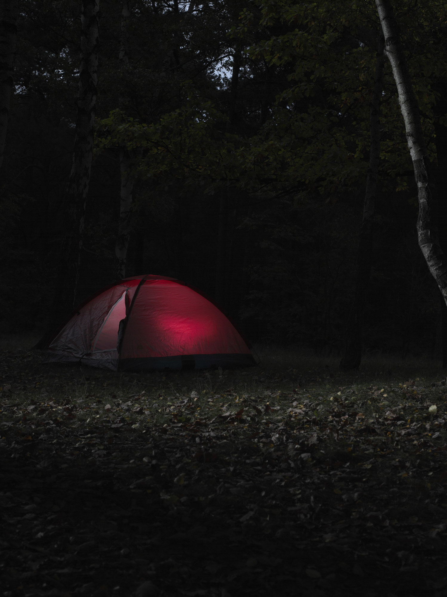 A tent glowing red with dim light sits by itself on a dark night