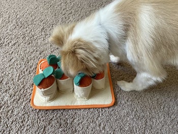 reviewer photo of puppy playing with carrot snuffle mat