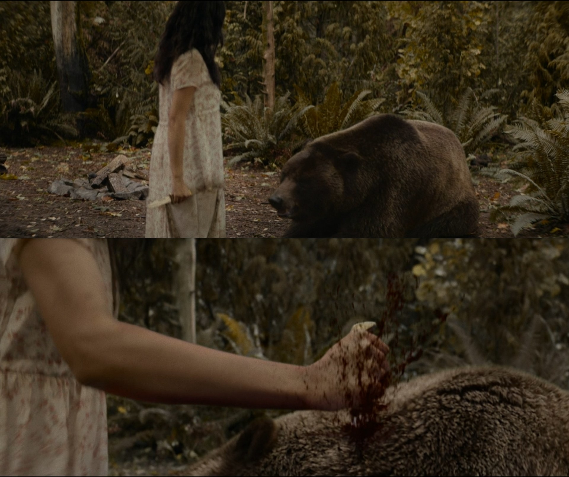 A bear meekly crouches in front of a girl who then stabs the bear
