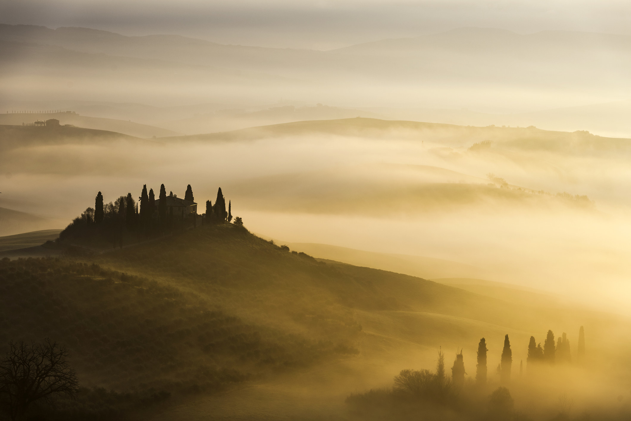 Green hills at sunrise.