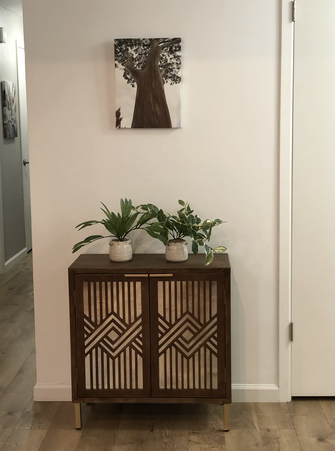 the geometric cabinet with plants on it