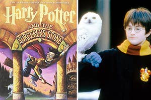 The book cover for "Harry Potter and the Sorcerer's Stone" and Harry Potter holds an owl on his arm