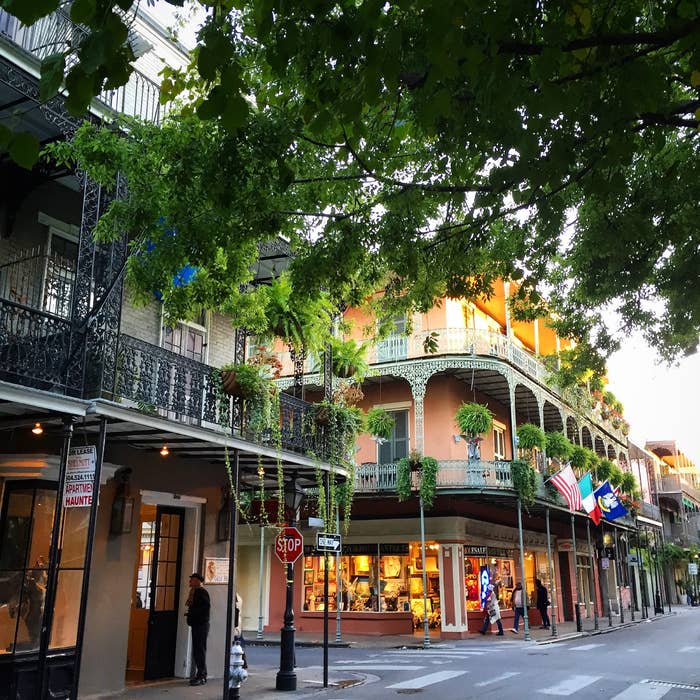 Colorful buildings shaded by trees