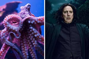 on the left, an octopus. on the right, snape from harry potter.