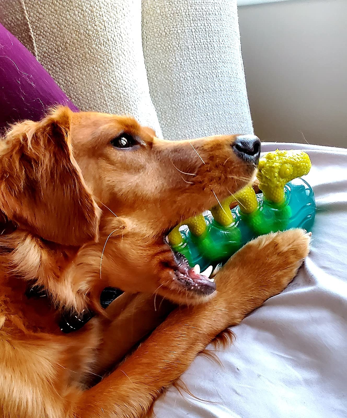 Best chew toys for biting clearance puppies