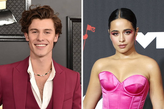 Camila Cabello Reacted To Shawn Mendes Teasing More Post-Breakup Music With A "High School Musical" Quote