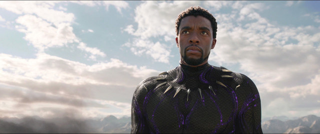 T&#x27;Challa as Blank Panther