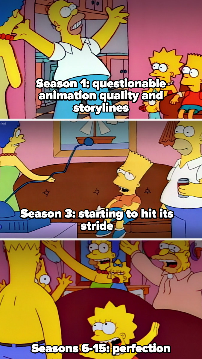 simpsons season 1 labeled &quot;questionable animation and storylines,&quot; season 3 labeled &quot;starting to hit its stride,&quot; and seasons 6-15 labeled &quot;perfection&quot;