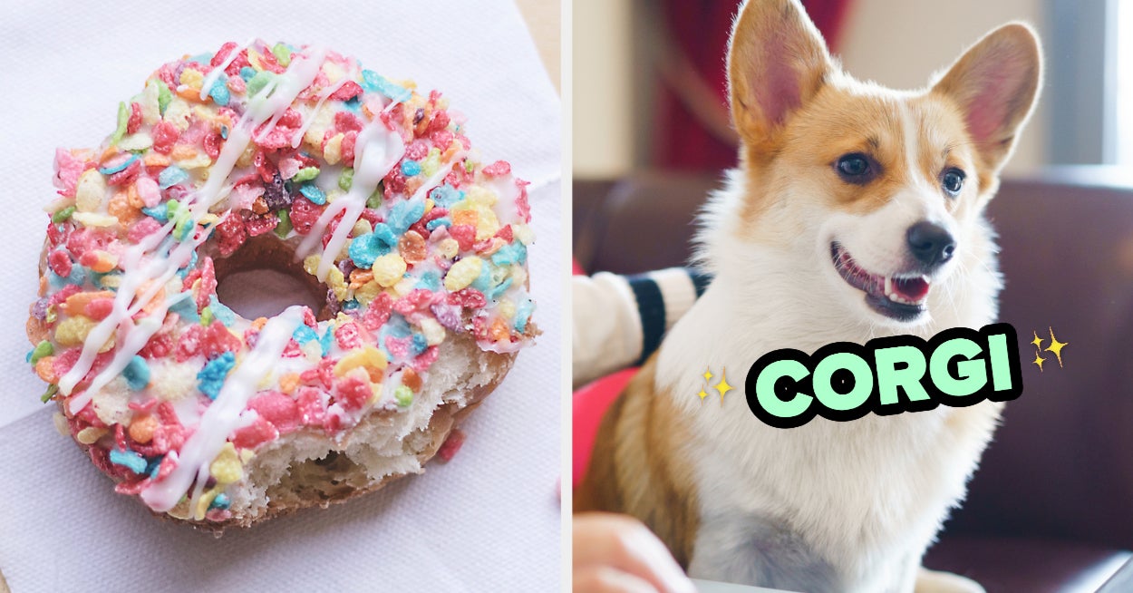 Food Quiz Eat Breakfast To Reveal Inner Dog Breed