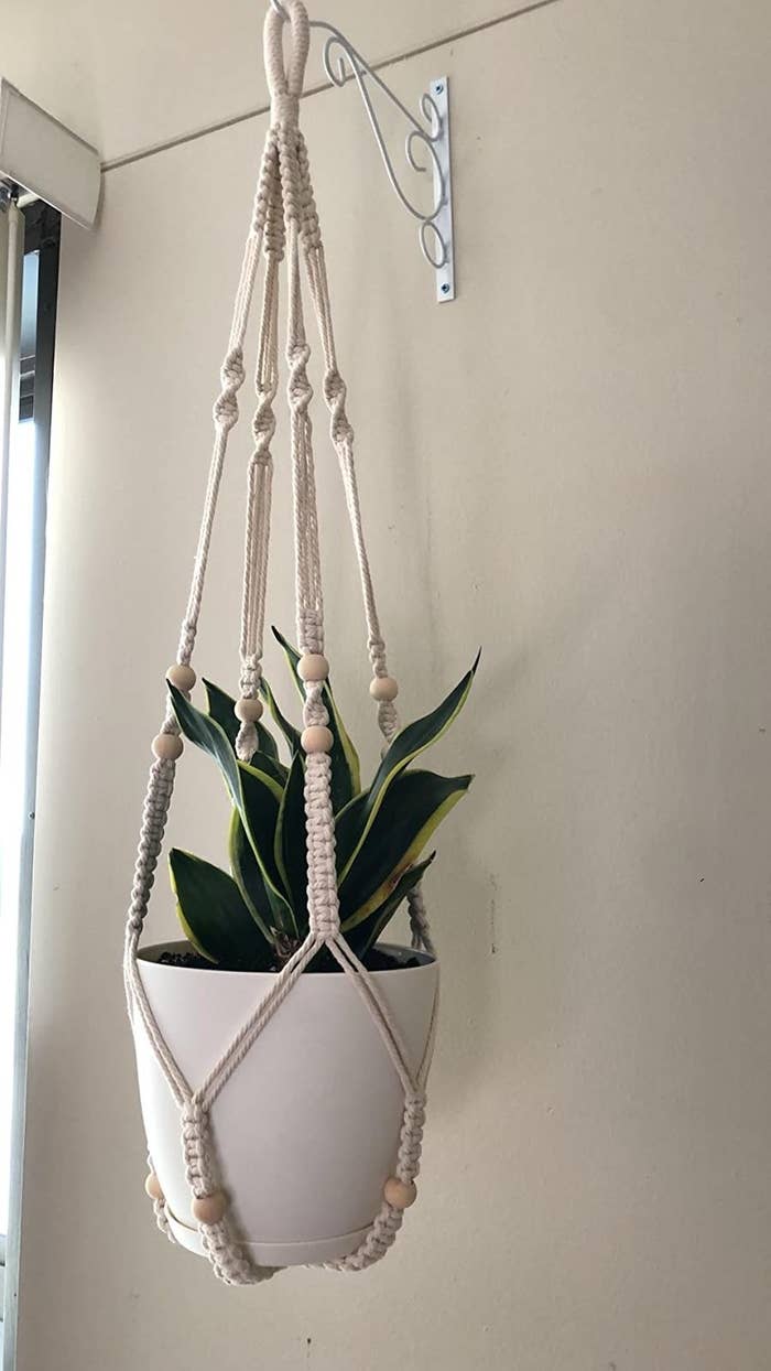 The hanging planter