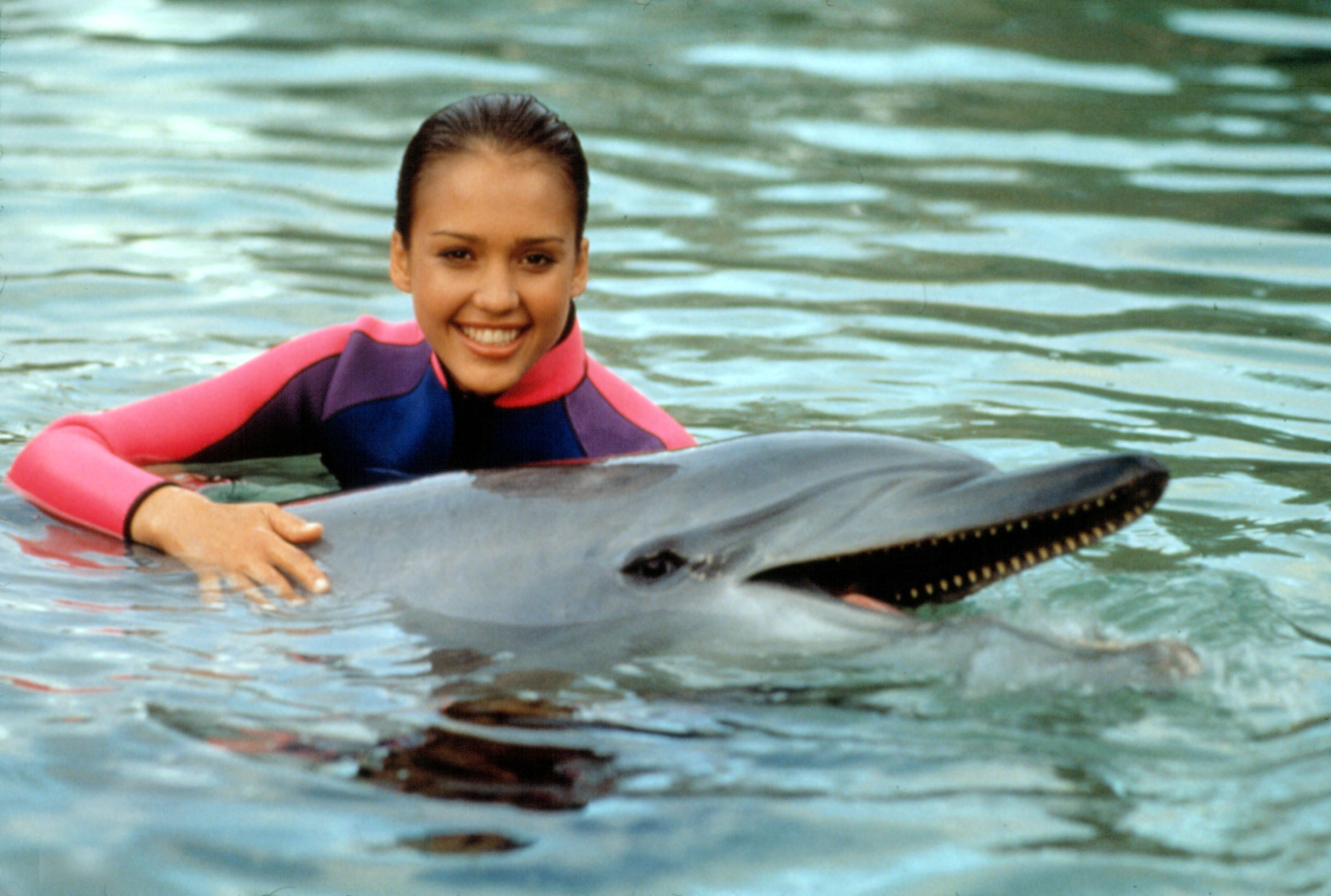 Alba in the water with Flipper
