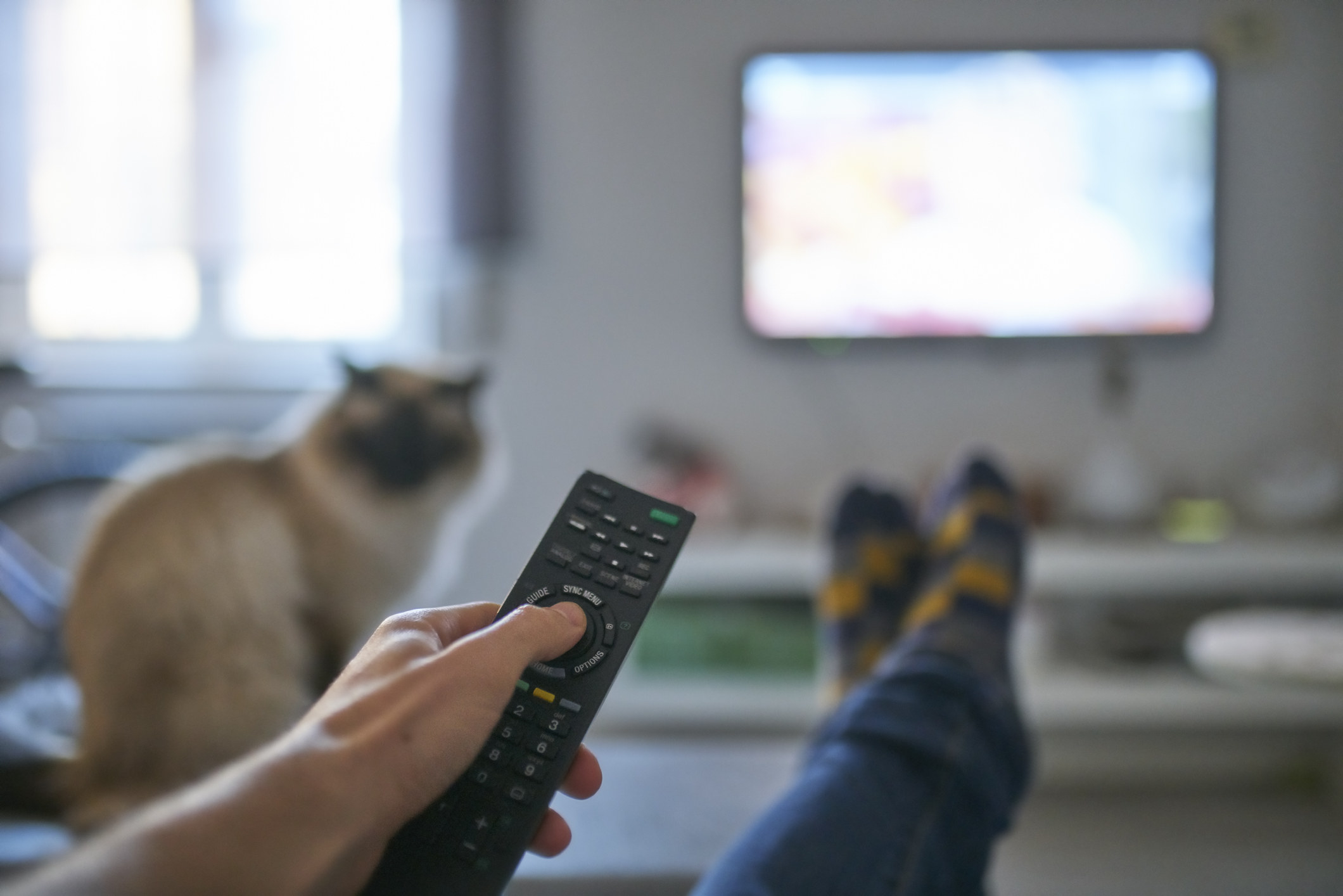 Someone holds a remote while watching TV