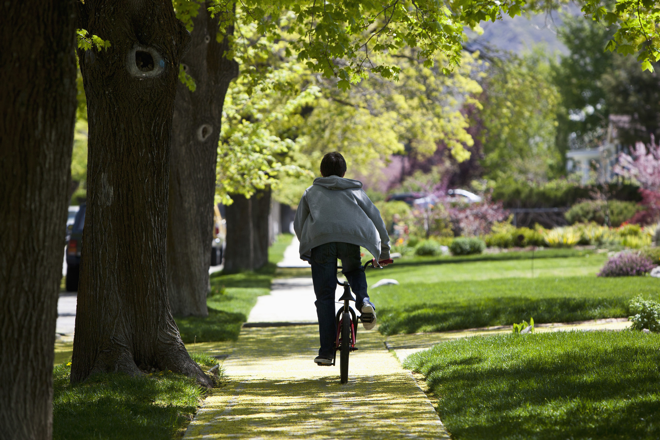 Someone riding a bike on a sidewalk