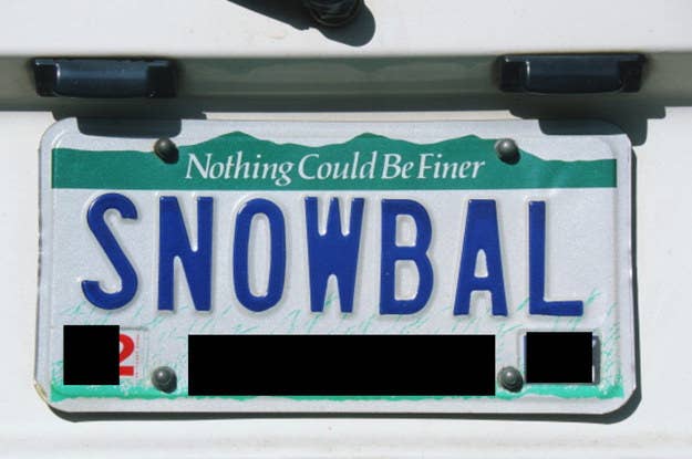 Travel Quiz: Guess The State By Their License Plate