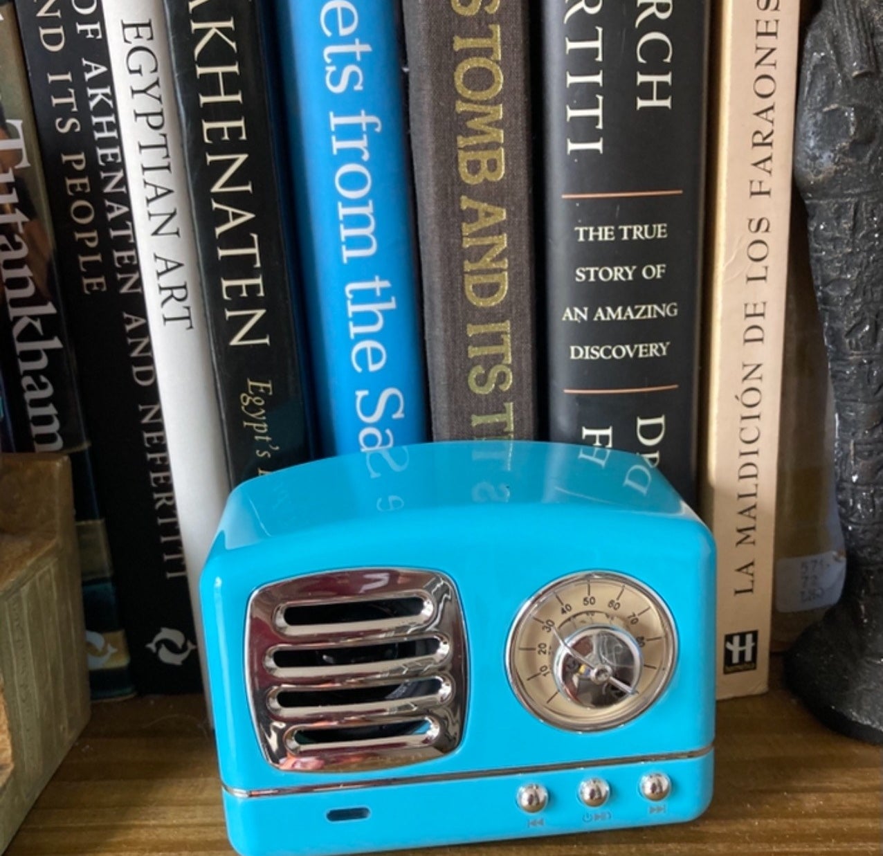 reviewer image of the blue speaker on a bookshelf