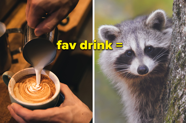 Ok, This Is Random, But Choose Your Favs And I'll Reveal Which Misunderstood Animal You Are