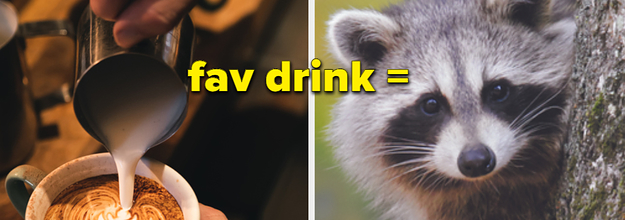 guess my favorite animal buzzfeed