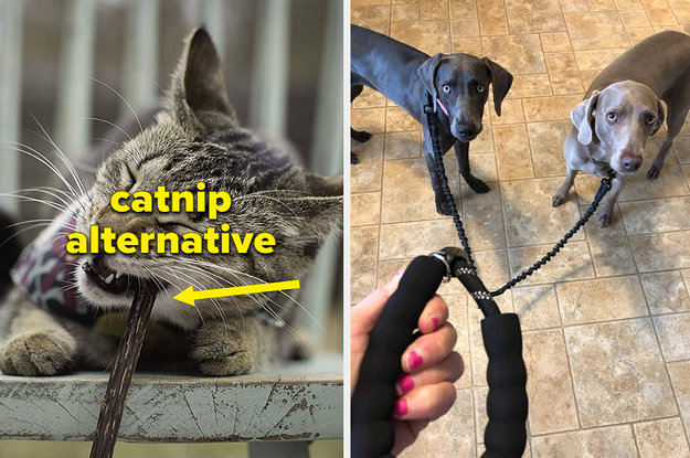 28 Things People With Multi-Pet Households Swear By