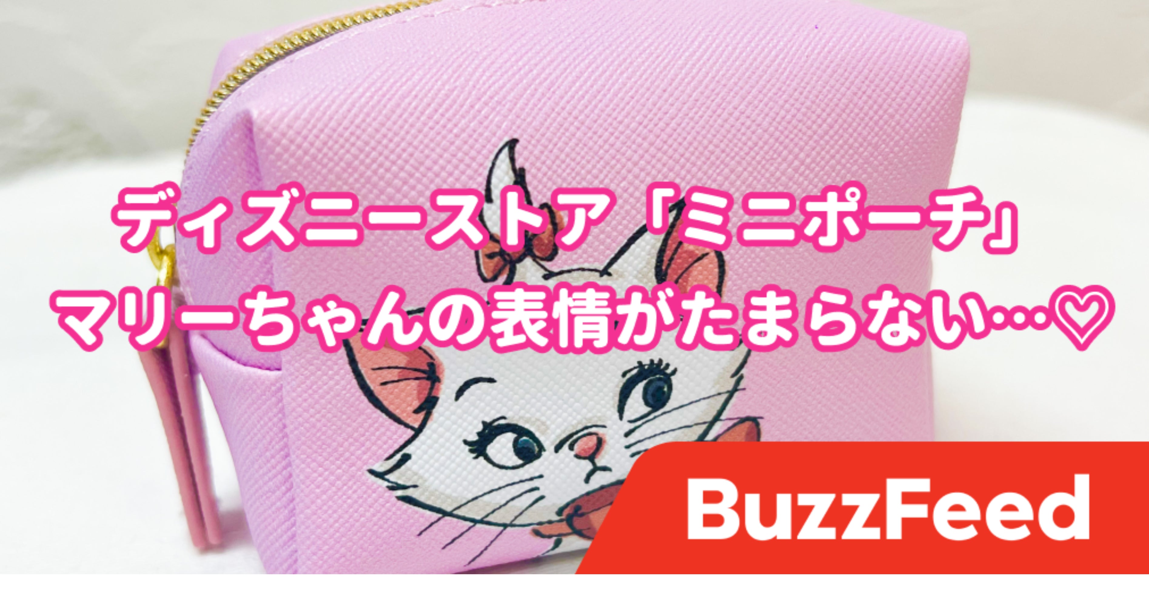 なんど見ても可愛い ディズニーストアの マリーちゃんポーチ ひたすら好きが詰め込まれてる