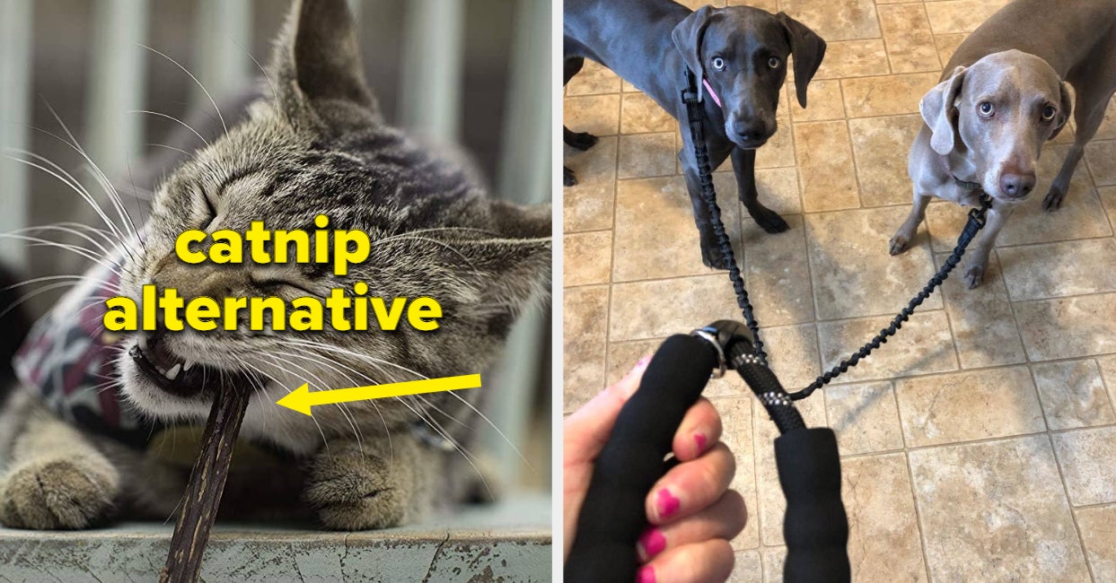 28 Things People With Multi-Pet Households Swear By