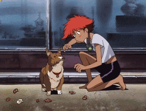 Ein bouncing on the street with captions saying &quot;nope, nope, nope&quot; in &quot;Cowboy Bebop&quot;