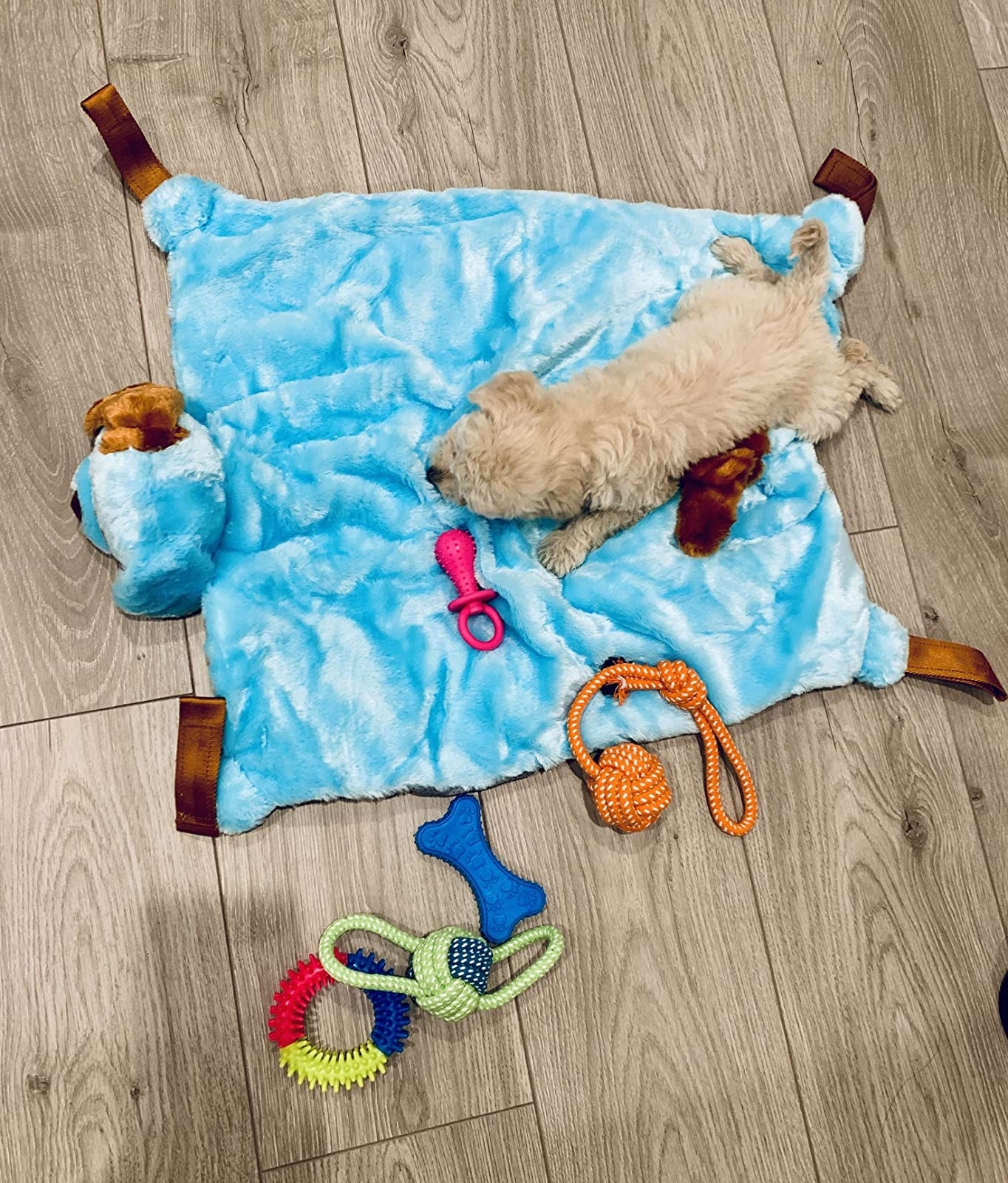 Puppy store play mat