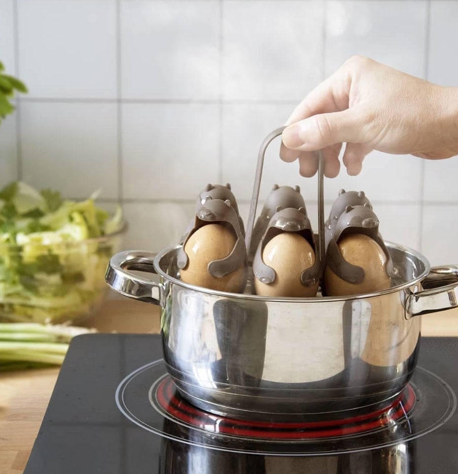 someone lifting the bear-shaped egg holder out of a pot of boiling water