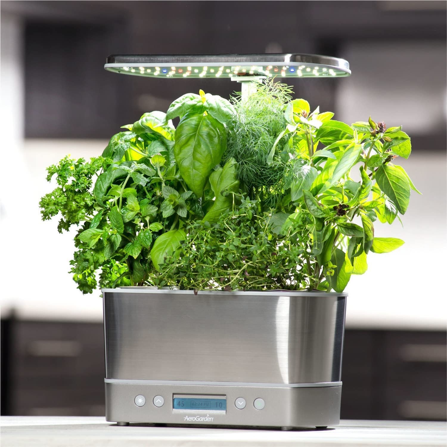 the smart garden filled with healthy herbs