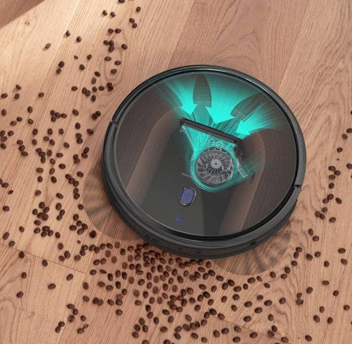 The vacuum sweeping up coffee beans on a hardwood floor